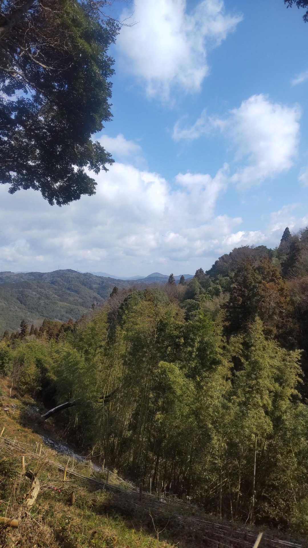 天気はとてもいいんですが、朝は雪も降っていたので、少し寒いです