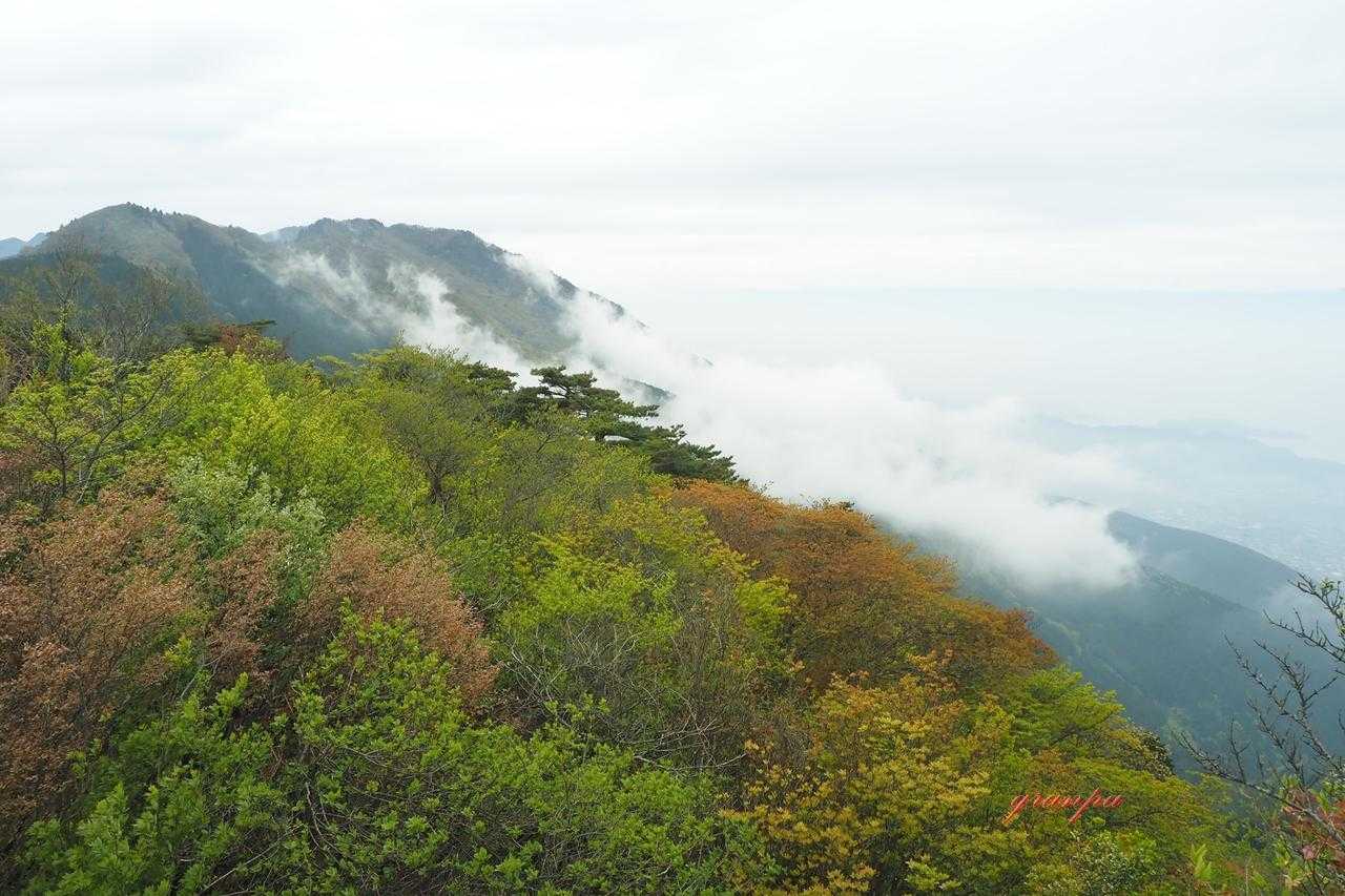 鋸山-七々木山-豊受山 往復コースの写真