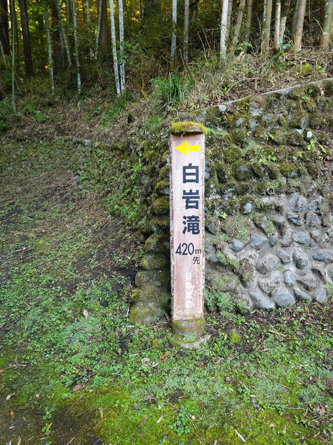 白岩滝バス停-麻生山-タルクボ峰-金比羅山-武蔵五日市駅 縦走コースの写真