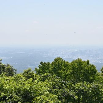 都内や横浜の街並みが望めた

とんぼがたくさん飛んでいた
