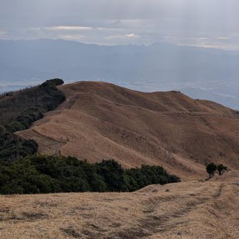 素晴らしい稜線