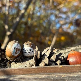 カオナシとトトロは🥰
松ぼっくりとどんぐりを添えて
