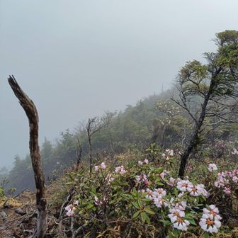 晴れてれば素敵かも