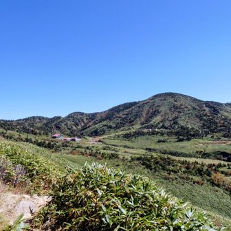 わーい
南竜山荘見えてきた♪
もう少し♪もう少し♪