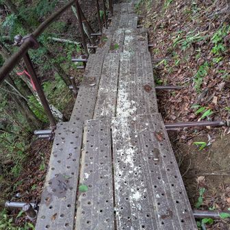 鉄板の登山道は雨で滑りそう。最強ハイパー V (^o^)