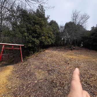 鳥居の方へ進みそうになる(´・ω・｀)
ここ軌跡を見ると左に行った人は戻ってきてるようですね。
岩高山へは右です。