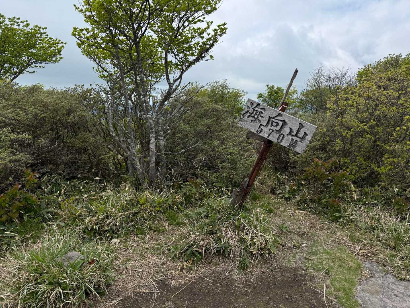 海向山の山頂に到着です😆