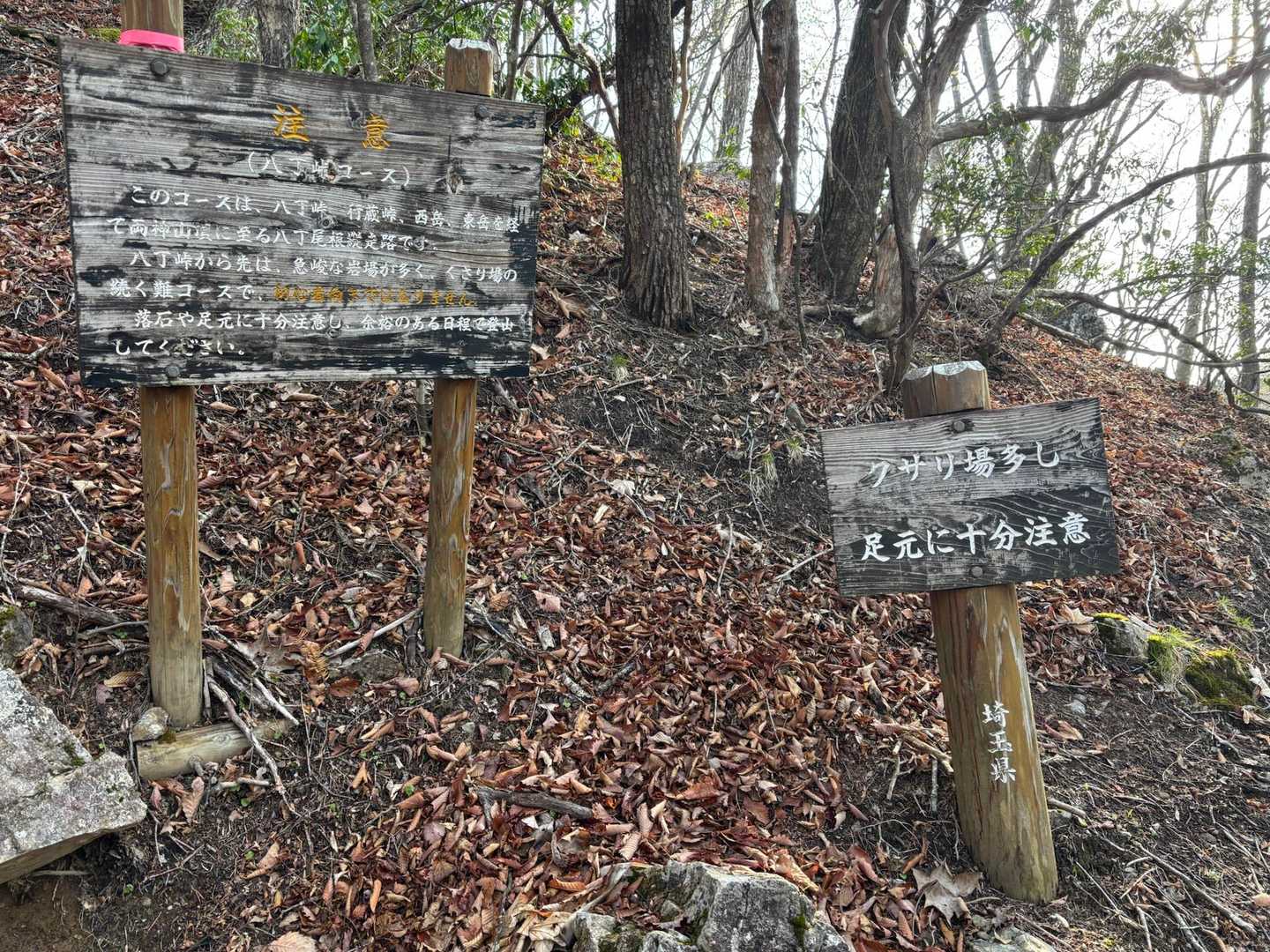 上落合橋登山口-八丁尾根-両神山 往復コースの写真