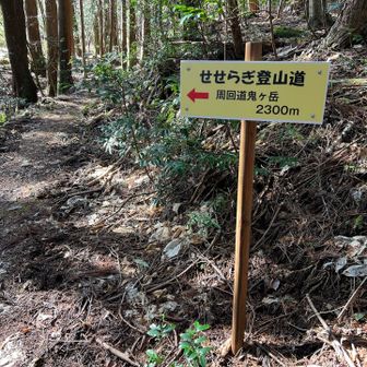 下山してきました
ここから山頂まで2300メートル
正面からだと1400メートル
どっちがいい？🤔
さて、お腹空いたのでお昼ご飯食べに行こ〜