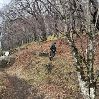 あっという間に湖畔まで降りて来ました。