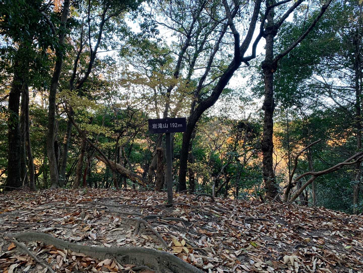 着いた〜😍
ハジメマシテ岩滝山🤗