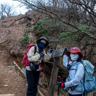政次郎の頭手前の分岐に着きました♪

ここから政次郎尾根を一気に下ります。

ここも荒れてるって書いてあるけど、バリルートじゃないから天神尾根よりマシなはずw
