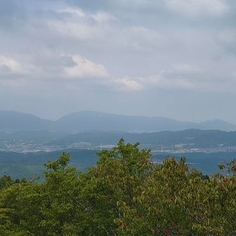 奥にはもう形だけでわかる大和葛城山と金剛山が見えました👀