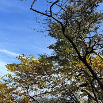 最高の天気に大満足、気温16℃位