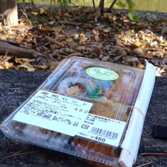 ひょうたん池を見ながら、物産店で買ったお寿司を食べる😋
足りない😂