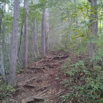 滝沢登山口から