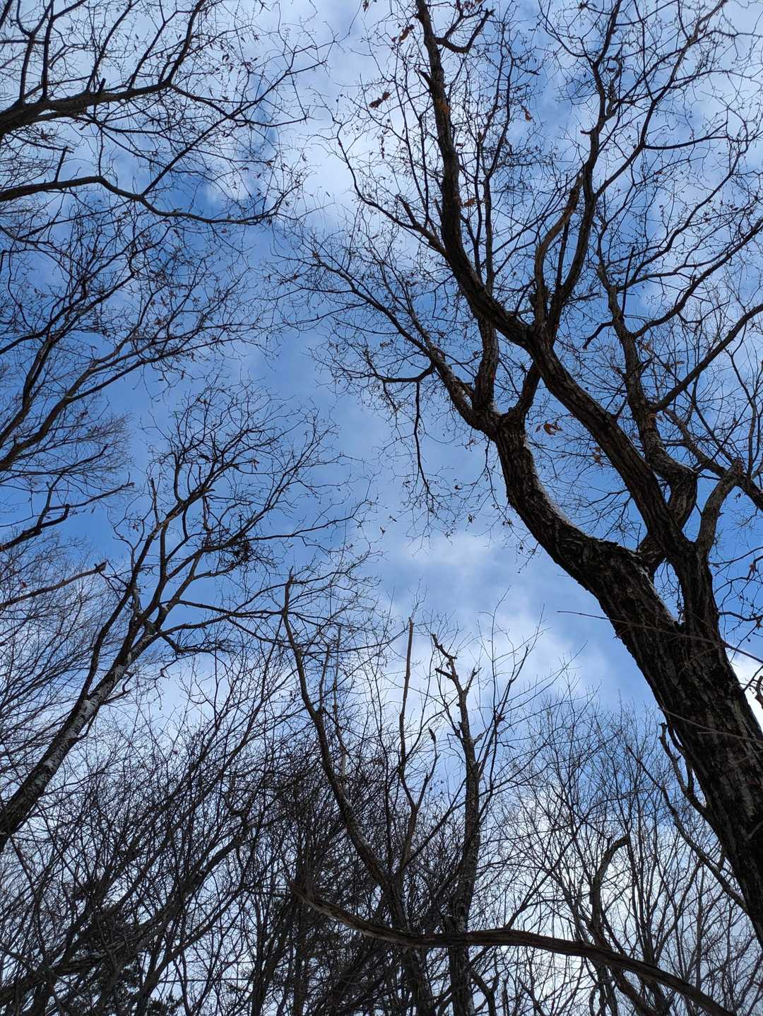 青空も広がってるけど

天気は下り坂😂