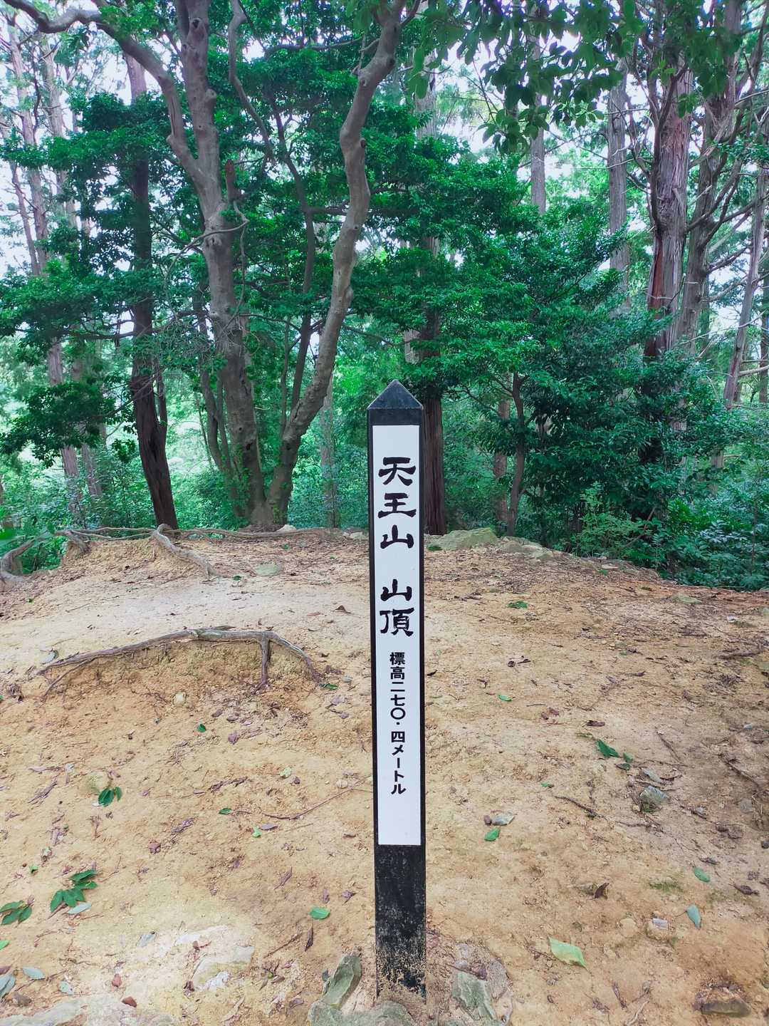 酒解神社-天王山 縦走コースの写真