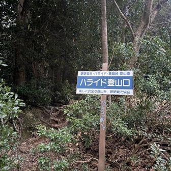 ここから登山道へ
いきなり急な登り😆