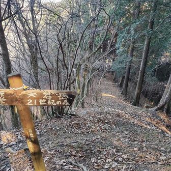 ロープが張ってあって、コッチ行くなになってます。

念願かなって、私はここから来ましたよ！看板さん😅