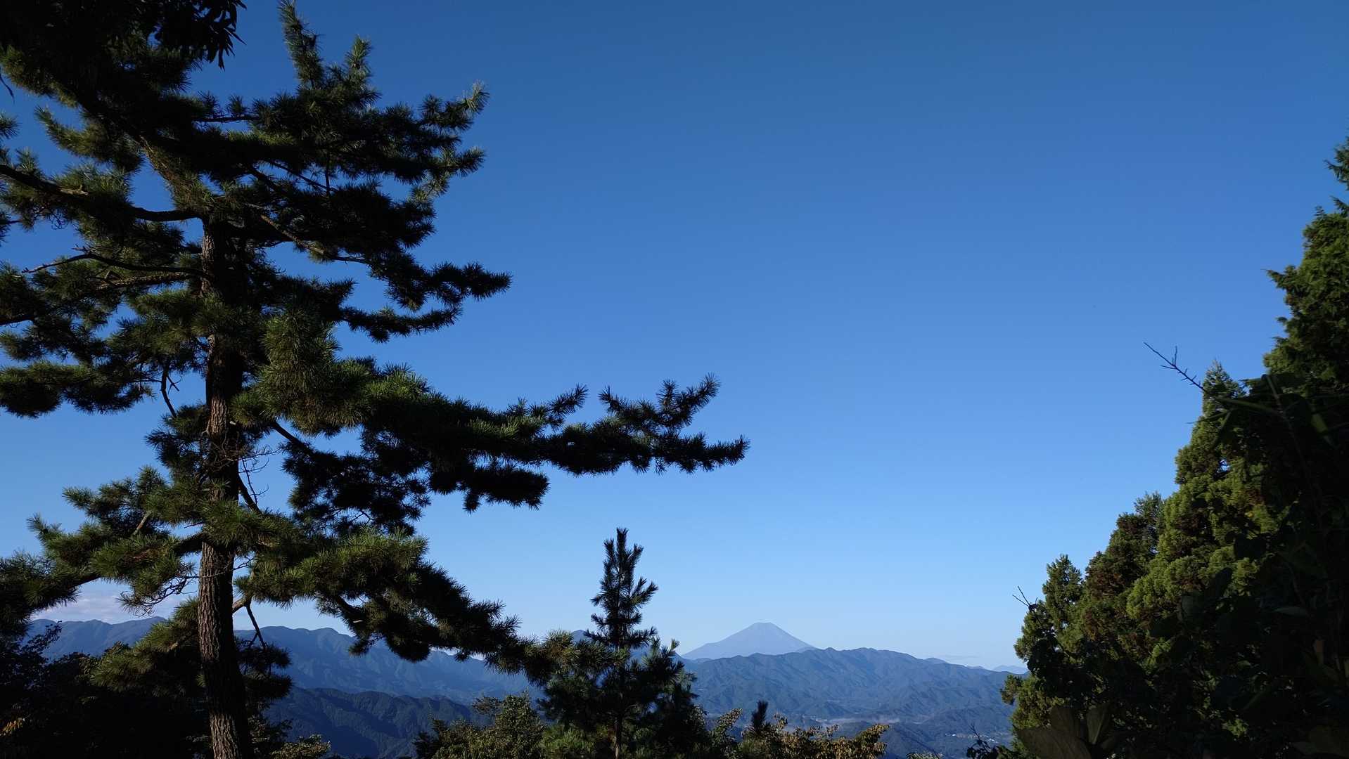 遠くの山並みもよく見えました☺️