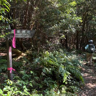 再び下山です↘️