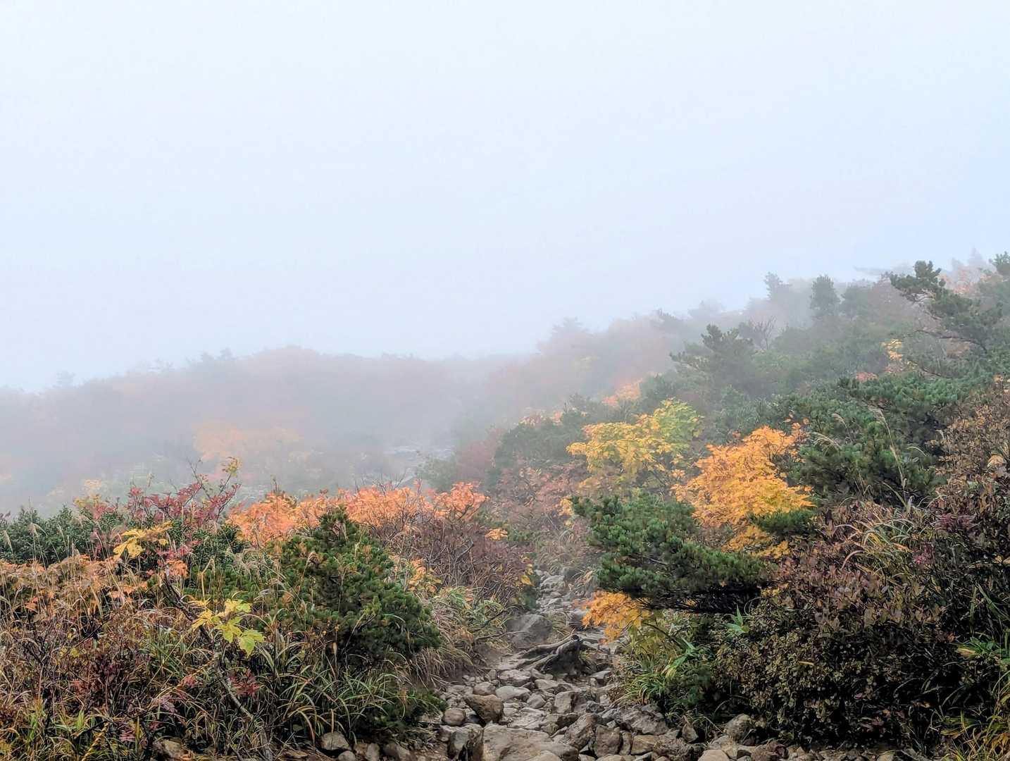紅葉は始まり