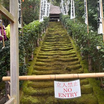 鎌倉最古の御寺の杉本寺、苔寺で有名だそうです