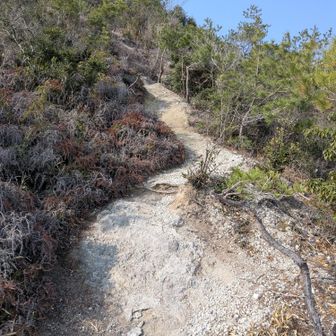 いきなり登り、この辺で活動開始の押し忘れに気づく💦