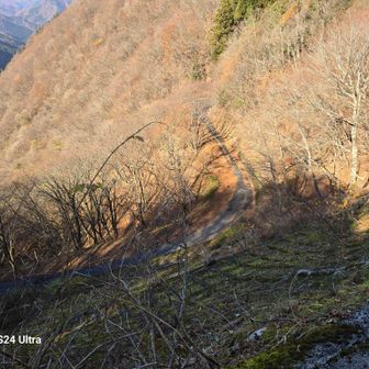 林道が見えて来ました
