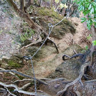 たぶん下りの鎖場⛓。

もう登ってんのか下ってんのかどっちでも良くなってきてます。😂