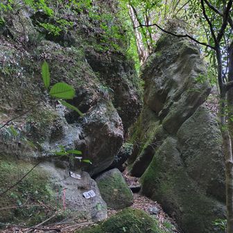 狭い岩の間を