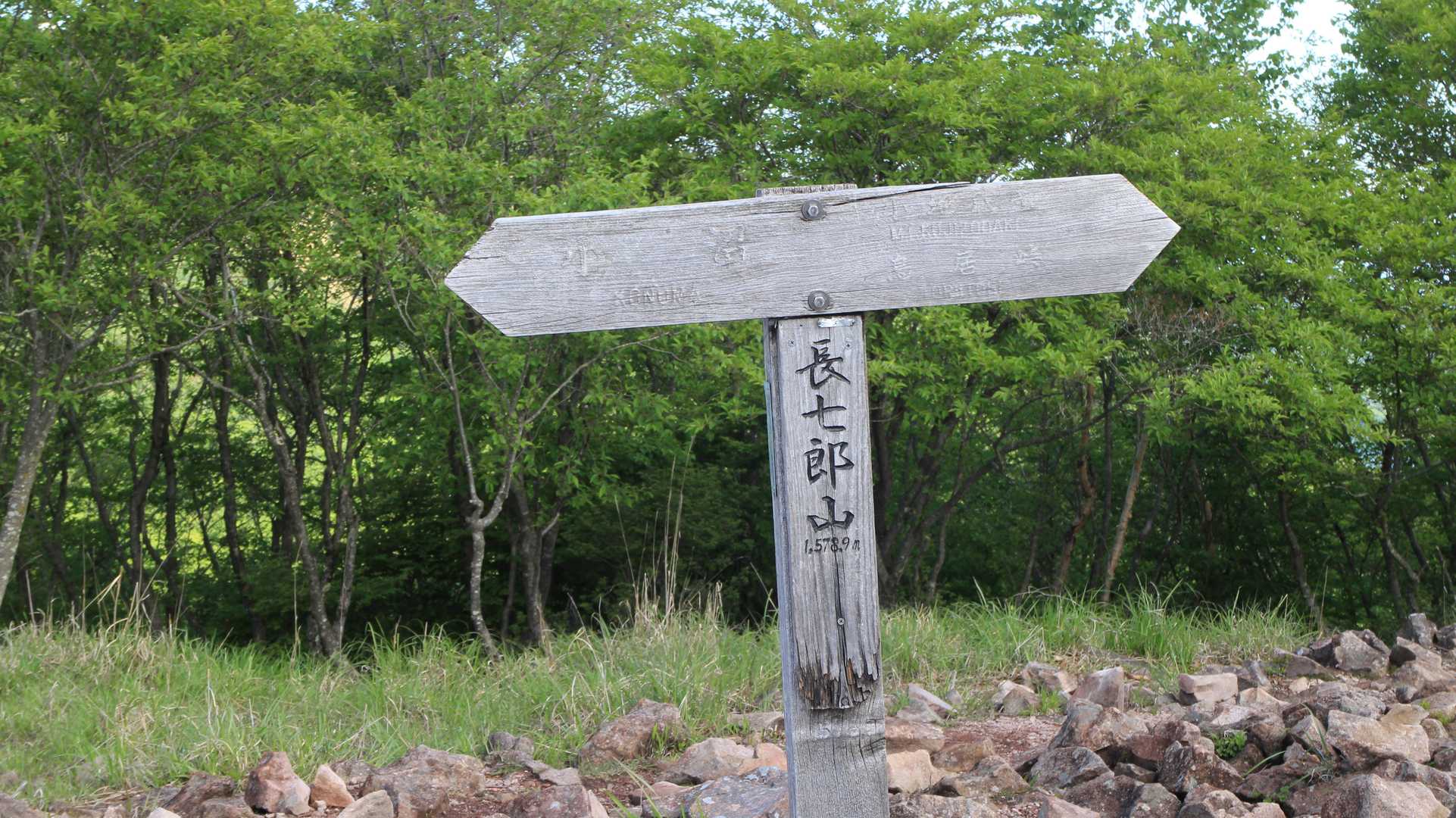 直ぐに2組ほど登って来られました😄