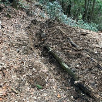 この溝を掘ってくれたもの