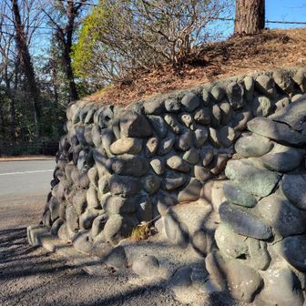 今回はここから入って山頂へ寄ります。