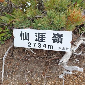 YAMAPの地図に「滑落注意」って書いてあった通り、なかなか危険なところでした。