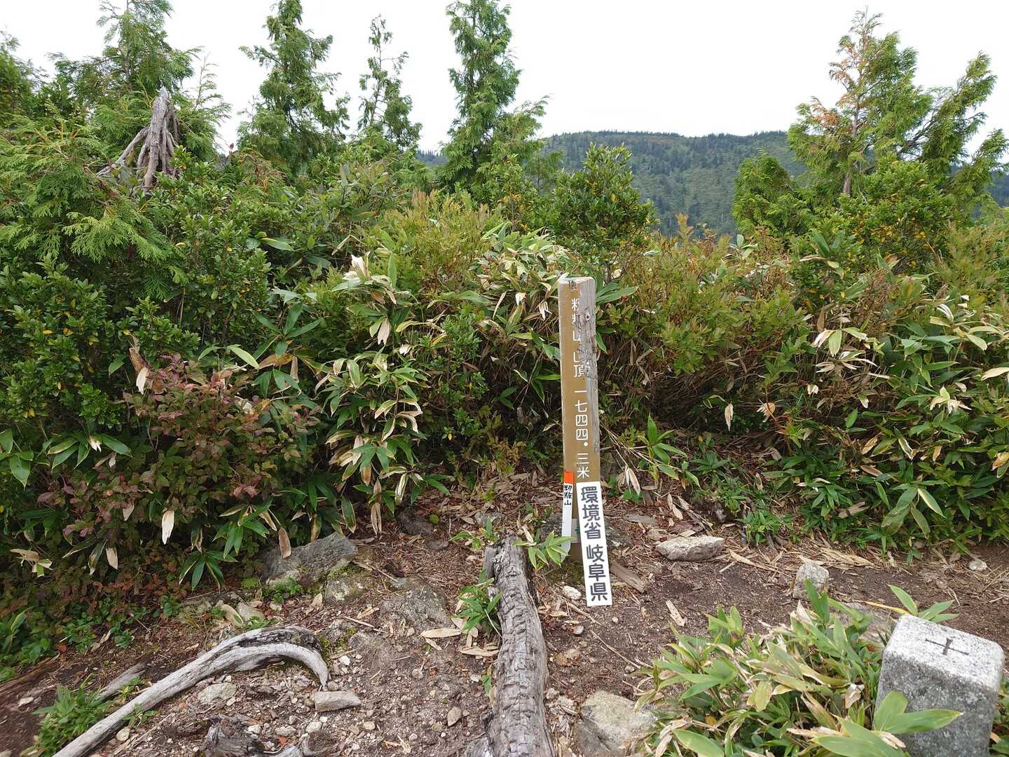 籾糠山の写真