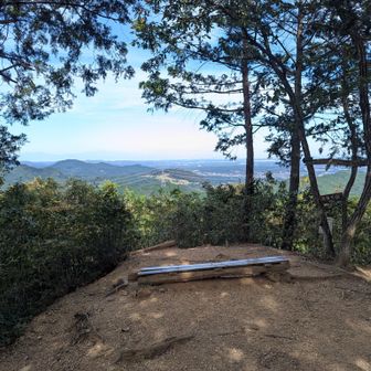 ここと観音ヶ岳は、小粒ですがなかなか登り甲斐がありました。