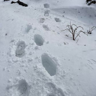 ズボズボとツボ足で👌