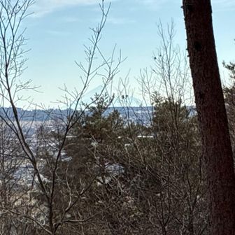 うっすらと　富士山🗻