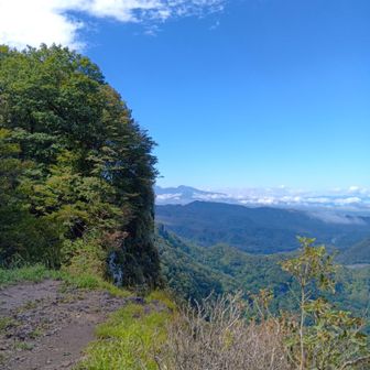 艫岩からの風景
青空🈵💯