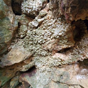 水晶にきゅん〰️ー💛
写真が上手く撮れず➰ー🤣