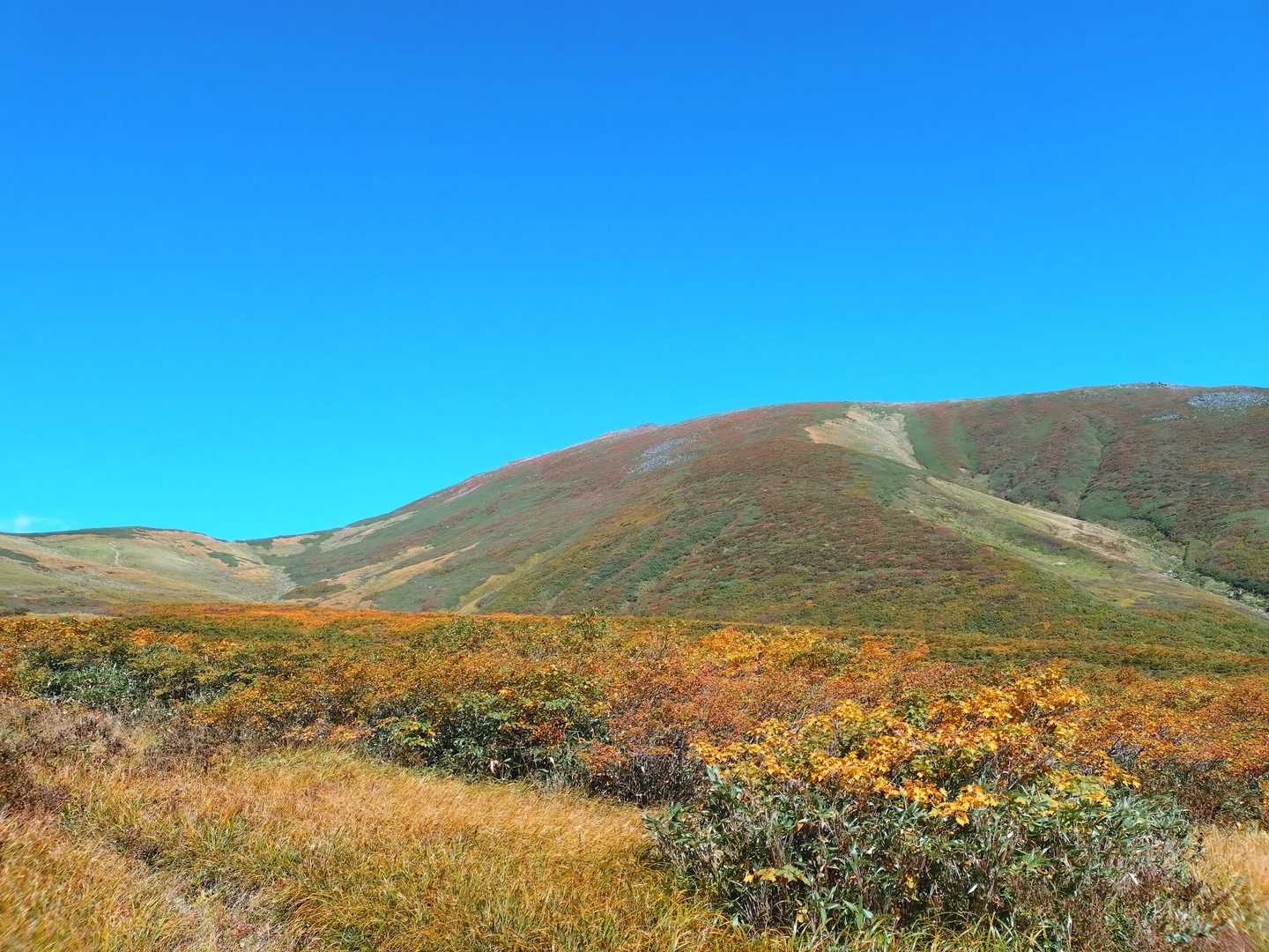 姥沢-牛首-月山 往復コースの写真
