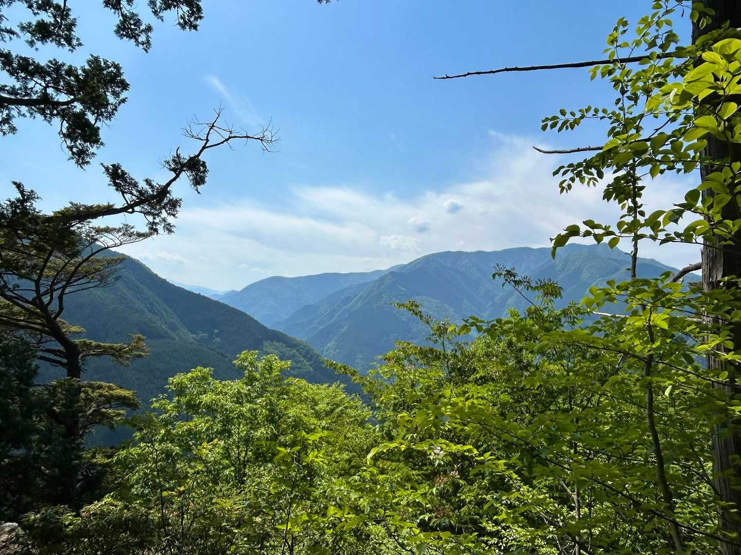 御岳山駅-天狗の腰掛け杉-芥場峠-大岳山-トバノ岩山-中岩 縦走コースの写真
