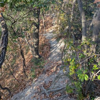 ででででーん

🎵いくーつもーのー

だから早いって笑