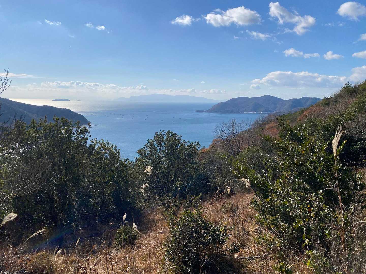宝珠山-坪江山-みかんのへた山-小島〜坂越遊歩道登山口 周回コースの写真