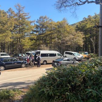 下山したら予定通り10時過ぎ