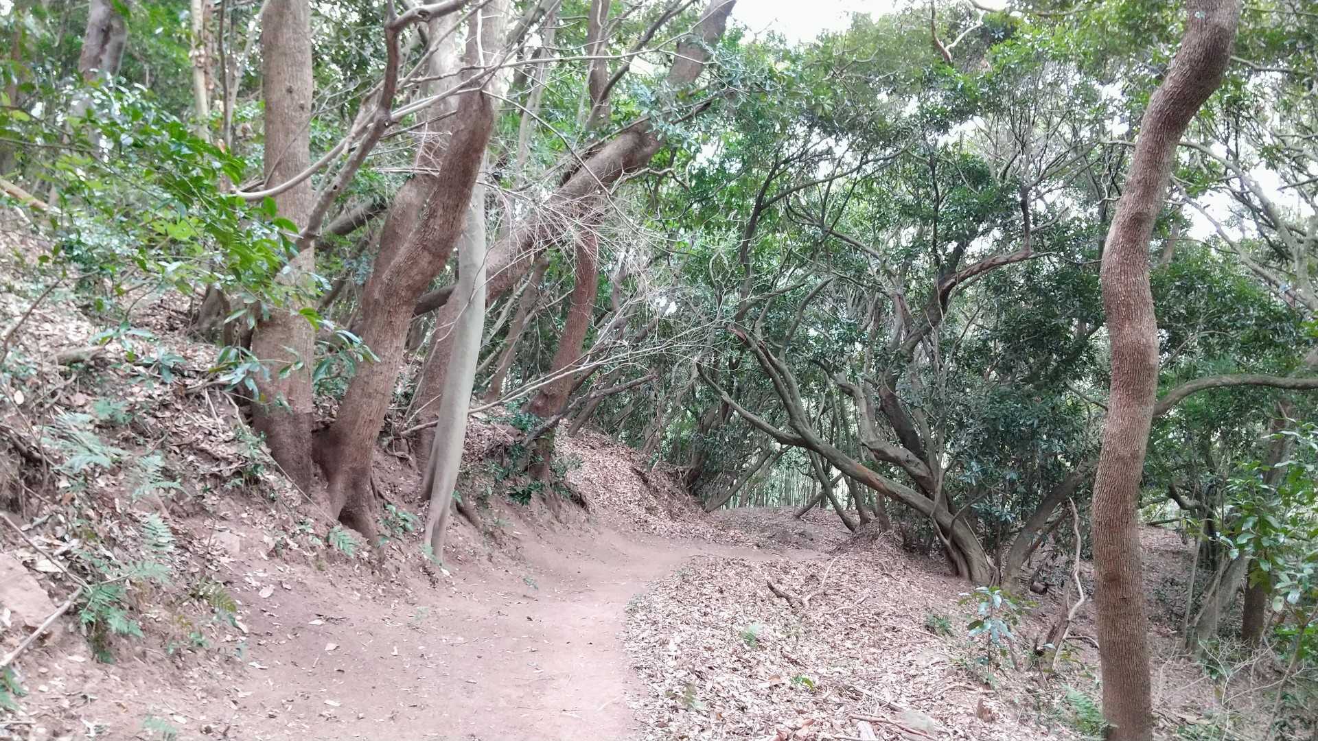 整備される方に感謝だなぁ🙂