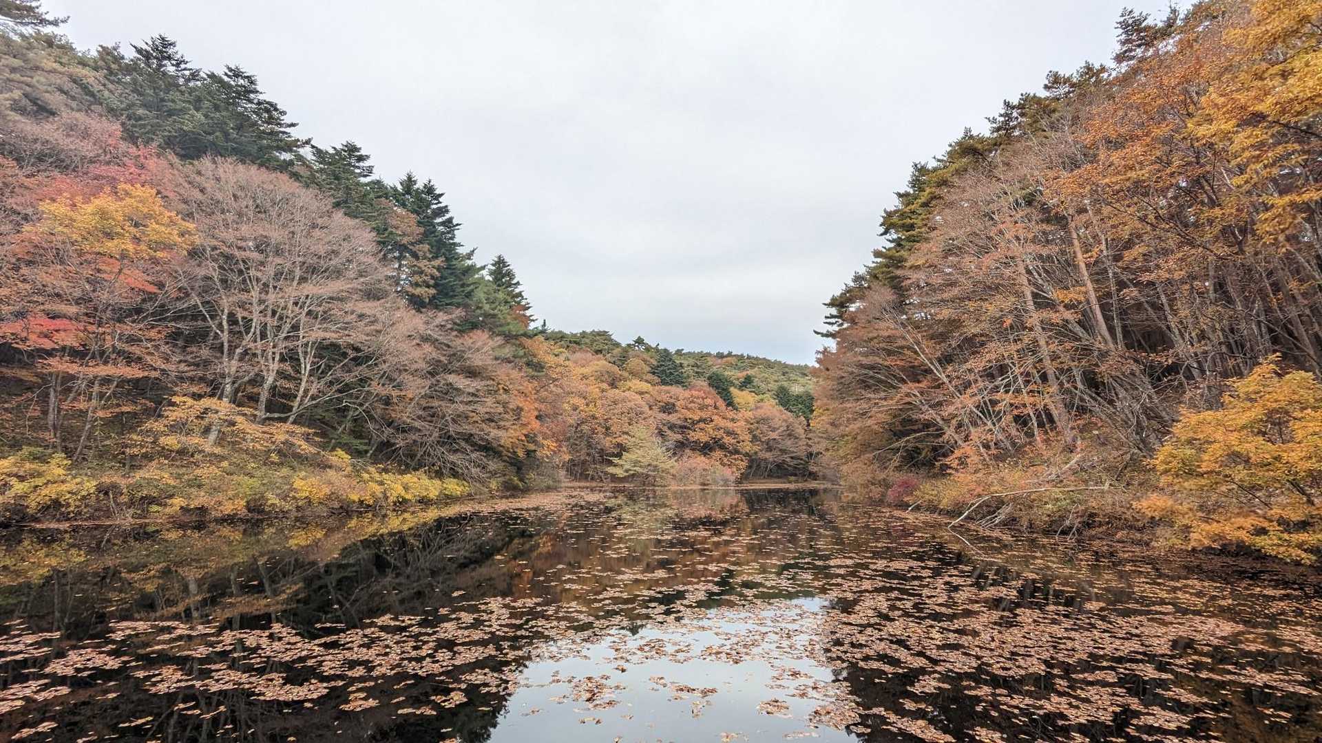 三峰沼散策
落ち葉多め😆