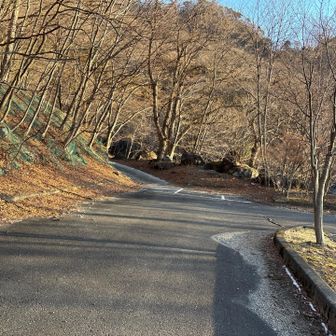 さぁ行くぞ〜✌️
この先直ぐに左に登山口です。
私はスルーしてしまい、川沿いに❌です。